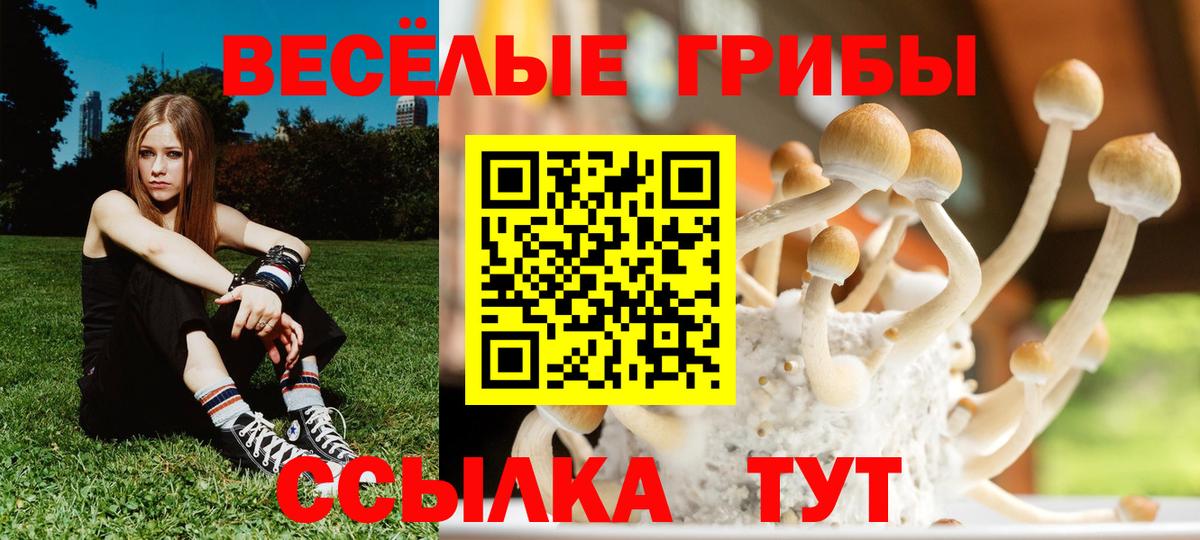 Галлюциногенные грибы прущие грибы  Вход с VPN  Сергиев Посад 